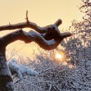 남산 산책로 이미지