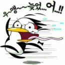보배네 이미지