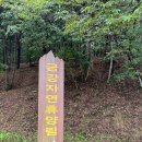 금강자연휴양림 이미지