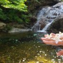 정수산장펜션 이미지