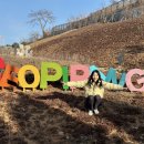 무전동 통영동백공영주차장 앞 구간, 편면 | 경남 통영 4월 가볼만한곳 서피랑마을 주차장 포토존 99계단