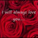 I Will Always Love You - Whitney Houston(보디가드 OST)1992 이미지