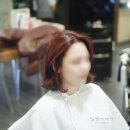 일센치헤어 이미지