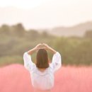 영락농원 이미지