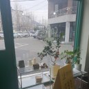샌드49 이미지