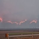 경남 합천 산불 ㅜ 이미지