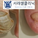 셀클리닉의원 이미지