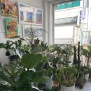 승희네 다육이 이미지