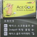 에이스스크린골프
