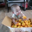 수민농장 이미지