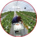 발달장애인대안학교 산돌학교 이미지