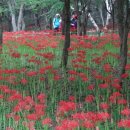 고승농장 이미지