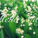 오토블링 부산점 이미지