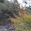 서동민박 이미지