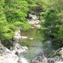 파로호생태마을 이미지