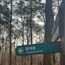 형제봉 농장 네이버블로그