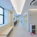 돌담동물의료센터 이미지