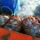 대경민박 이미지