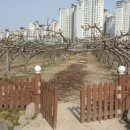 덕화농장 이미지