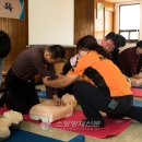 농림축산검역본부 서울지역본부 이미지
