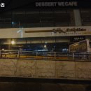 금빛코다리
