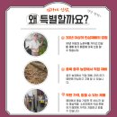 상권농장 | [동작상권활성화사업단] 김가네 인삼농장, 이수 인삼 홍삼 선물