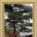 와수초등학교 이미지