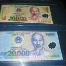 베트남 10,000동/20,000동 이미지