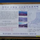 도래재로 Daum카페