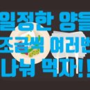 라인에미치다 이미지