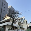 수원-1310 이미지