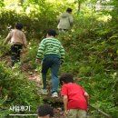 우아한형제들 | 모여봐요 횡성숲! '우아한 형제들' 캠프 후기