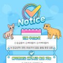 문막동물병원