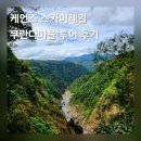 지에스25 대전포레스트 | 호주 케언즈 스카이레일 곤돌라 쿠란다 레인포레스트 투어 후기