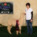 건주목장 이미지