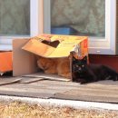 해남베스트펜션 이미지