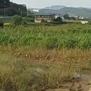 농촌체험주택 이미지