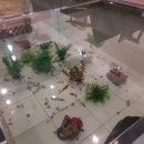 어항카센타 이미지