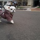 순둥이유치원 이미지