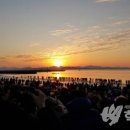 율포솔밭해변1 이미지