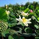 연자농장 이미지