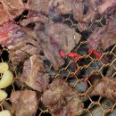 본수원갈비(용인점) 이미지