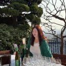 황소미가 | 주한 헝가리대사관저 와인 시음회 유럽 헝가리 와인 여행