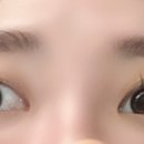 신디코리아 이미지