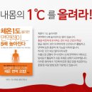 관산다이어트