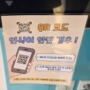 광활농업협동조합 | 안성 팜랜드 핑크뮬리 상태는? 11월 개화 현황 및 방문 후기