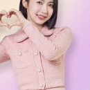 (주)쥬비스다이어트 네이버블로그