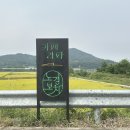 라파 | 경주 신상 한옥 대형카페 노경보차라파 내돈내산후기