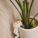 모든날이 행복하기를 | 부산 연산동 맛집 린선 다이닝 맛 가격 점심특선 런치세트 술종류 내돈내산 솔직후기