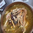 햇살농원 애견 이미지